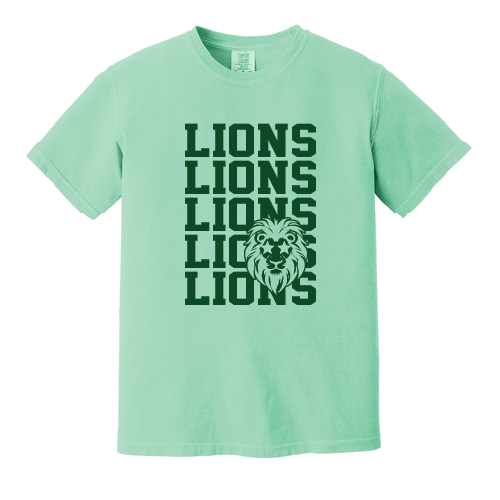 Comfort Colors tee, original product view 1